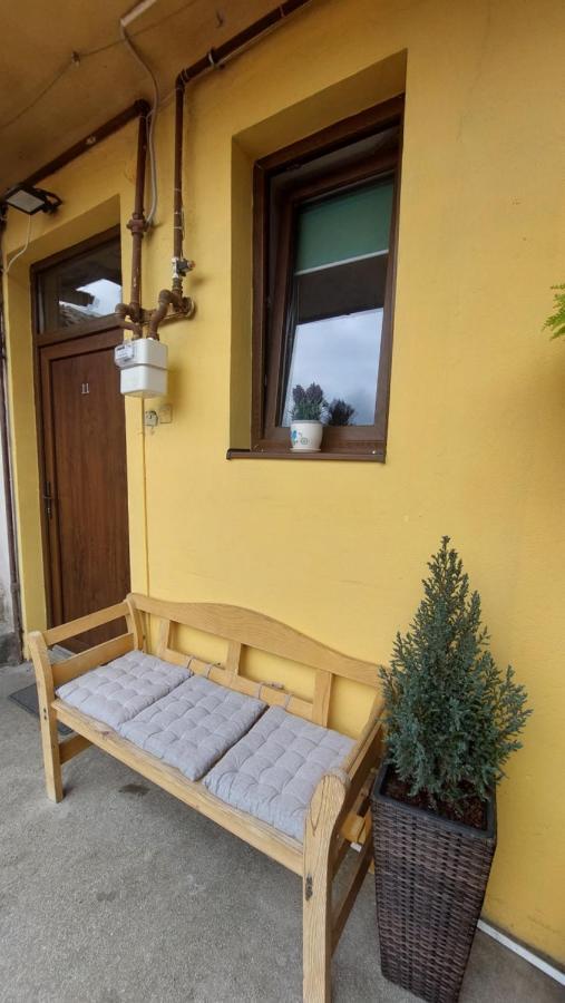 Sunrise Tampa Residence 브라쇼브 외부 사진